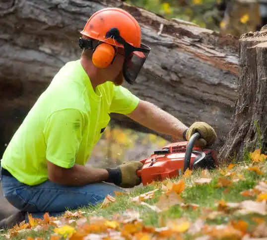 tree services Concorde Hills